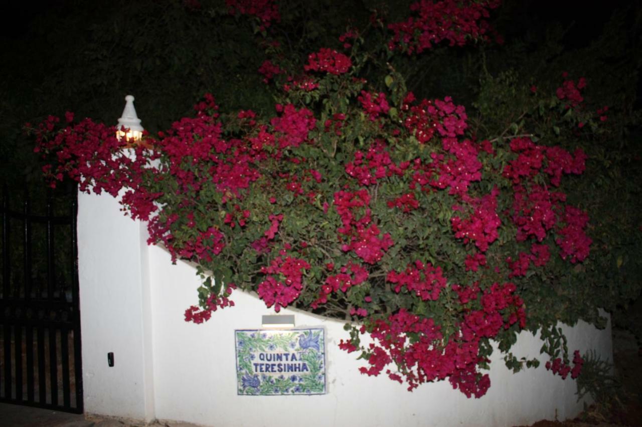 Quinta Teresinha Guest House Силвес Екстериор снимка